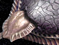 Creatura di Alfa Omicron