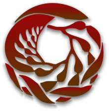 Logo del Cetacean Institute