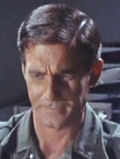 Webb