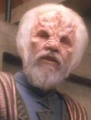 Albino