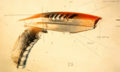 Miniatura della versione delle 18:59, 12 dic 2020