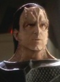 Toran