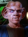 Quark (specchio)